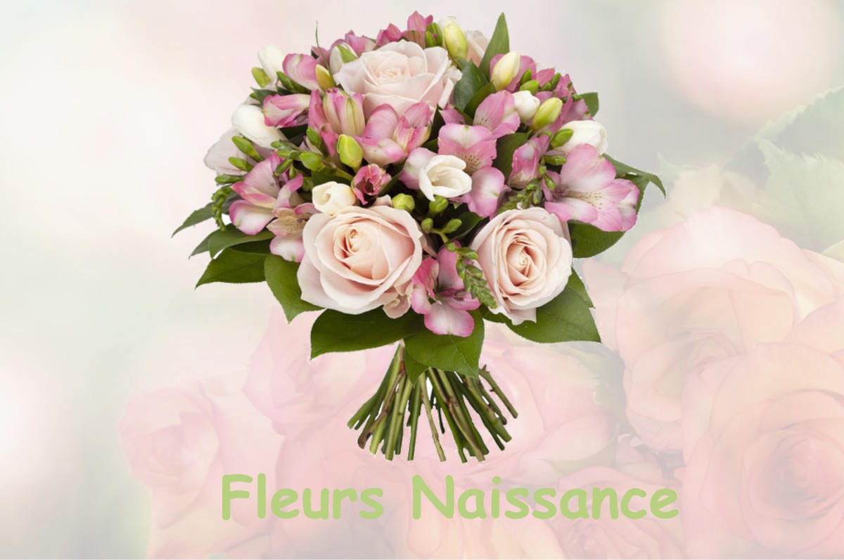 fleurs naissance SAINT-LAURENT-DES-ARBRES